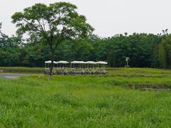 -良渚古城遗址公园