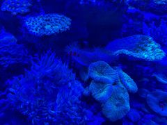 -上和臻品中国菜(花园街店)