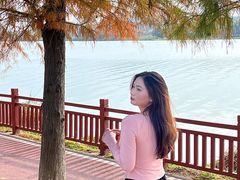 -鹤之洲湿地公园
