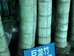 -竹泉农庄·竹筒饭(从化店)