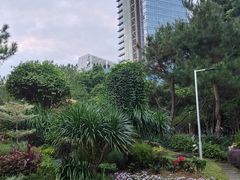 -名树园