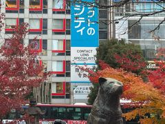 -涩谷区