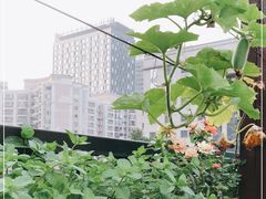 -安妮意大利餐厅(日坛店)