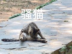-穹窿山景区