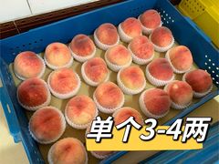 -老袁家蜜桃农场·阳山水蜜桃