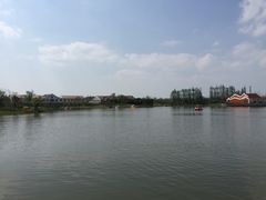 -上海长兴岛郊野公园