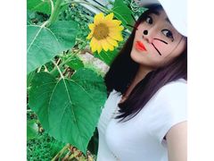 -南山植物园
