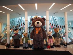 -济州岛泰迪熊博物馆