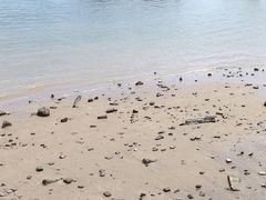 -海沧湾公园