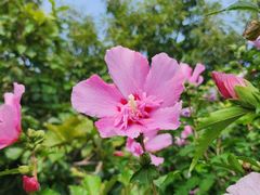 -大连富丽华大酒店·花都西餐厅
