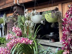 -龙姐私房菜(和顺古镇店)