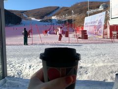 -多乐美地滑雪场