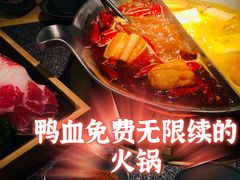 -湊湊火锅·茶憩(郑州绿地新都会店)