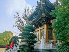 -上海东林寺(金山区)
