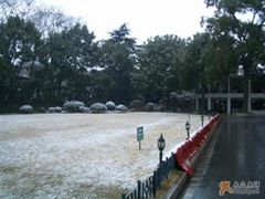 下雪的户外草坪-申粤轩酒楼·三十年粤菜经典(丁香花园店)