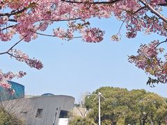 -新江湾城公园