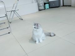 -怪兽屋·羊驼·猫咖·狗咖(俊华广场店)