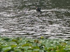 -山东大学(威海校区)