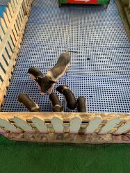 -萌宠亲子动物乐园(槐房万达店)