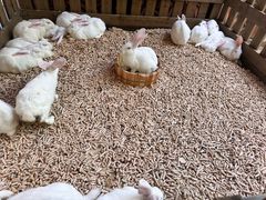 -广州长隆野生动物世界