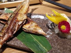 -木叶村