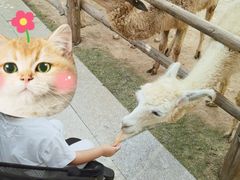 -泉州海丝野生动物世界