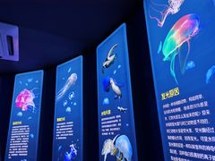 -青岛海底世界-水族馆