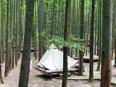 -山王坪喀斯特国家生态公园