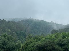 -火炉山森林公园
