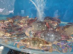 -蓝珊甄选海鲜自助·火锅大排档(近阿那亚店)