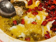 -禄鼎记·排队俩小时都要吃的酸菜鱼(石牌桥店)