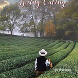 春游踏青好去处｜重庆最美茶园就在这儿🍃