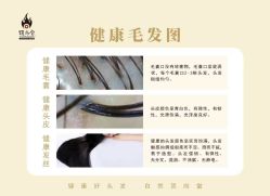 -顶尚堂白发脱发养发