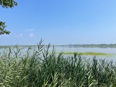 -野鸭湖国家湿地公园