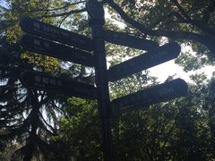 -鲁迅公园
