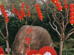 -野狸岛