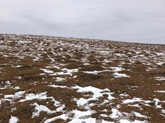 -芦芽山旅游度假区