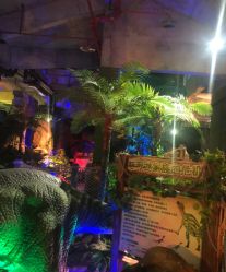 -恐龙探索乐园(磁器口店)