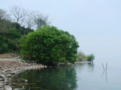 -苏州太湖国家湿地公园