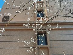 -瑞安威尼都