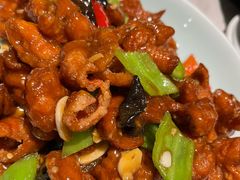 焦溜肥肠-新侨小馆(东直门北小街店)
