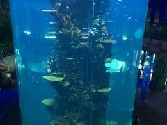 -青岛嘉年华主题乐园