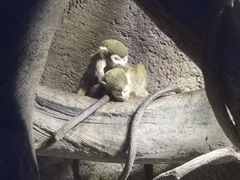 -波塞冬海底世界