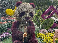 -杭州植物园