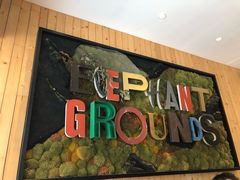 -Elephant Grounds(STARSTREET)