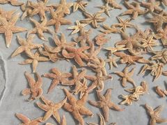 -青澳湾北回归线广场