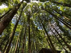 -山王坪喀斯特国家生态公园