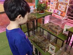 -正佳雨林生态植物园