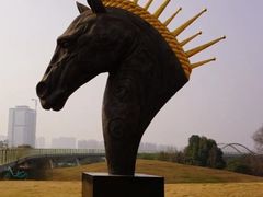 -白鹭湾湿地公园