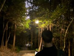 -杭州半山国家森林公园